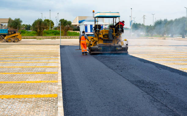 Best Driveway Paving Contractor  in Beech Island, SC