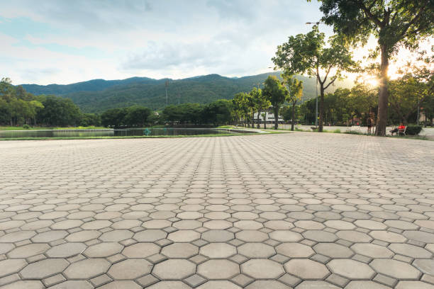 Best Concrete Paver Driveway  in Beech Island, SC