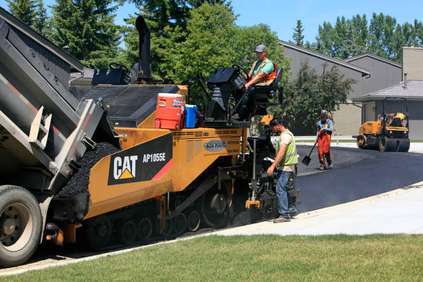 Best Professional Driveway Pavers  in Beech Island, SC